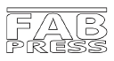 fab press limited