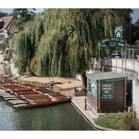 cambridge chauffeur punts limited