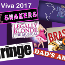 viva arts and community group limited