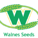 walnes limited