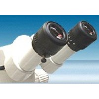 lpd lab services limited