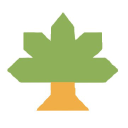 pjc consultancy limited