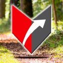 virtue financial limited