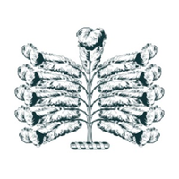 ellenborough park limited