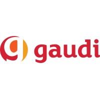 gaudi limited