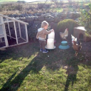 low cost living limited