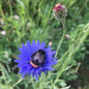 2 highbury park limited