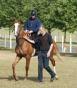 willie musson racing ltd