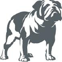 the bulldog trust limited