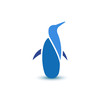 penguin consulting services limited