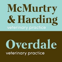 derbyshire veterinary services limited