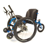 the mountain trike company limited