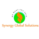 synergy global solutions limited