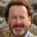 dolphin index limited