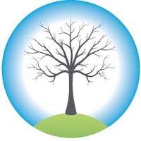 birchills telecom limited