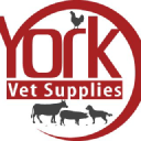 yorkvets limited