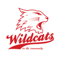 ice hockey inspired ltd