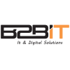 b2b it ltd