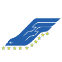 falcon flying group limited