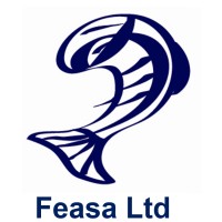feasa limited