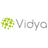 vidya limited