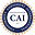 ca international limited