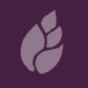 rose regeneration limited