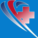 41 lowndes street limited