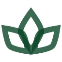 white stores limited