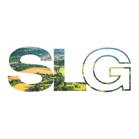 the strategic land group limited