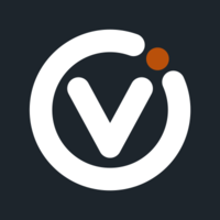 vizion network limited