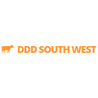 ddd south west limited