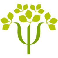 greenwood mentors limited