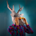 creature kingdom limited