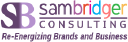 sam bridger consulting limited
