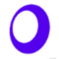 digital recognition systems limited