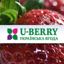 uberry limited