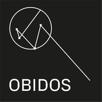 obidos consulting ltd