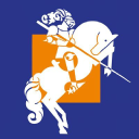 dsw consulting limited