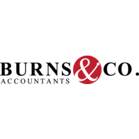 burns & co (accountants) limited