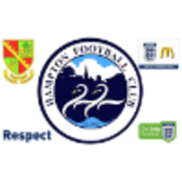 hampton junior football club limited