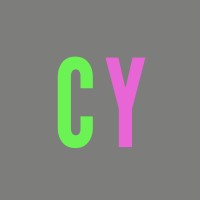 cy executive resourcing limited