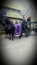 marsden carriages limited
