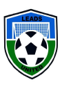 leads united ltd