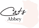 cats abbey ltd