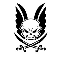 warrior assault systems limited