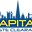 capital waste clearance ltd