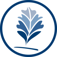 the recruit venture group ltd