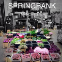 springbank flowers ltd