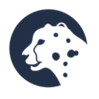 cheetah transformation limited